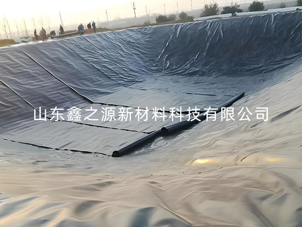 選擇防滲土工膜進(jìn)行小龍蝦養(yǎng)殖有哪些要點(diǎn)技巧？