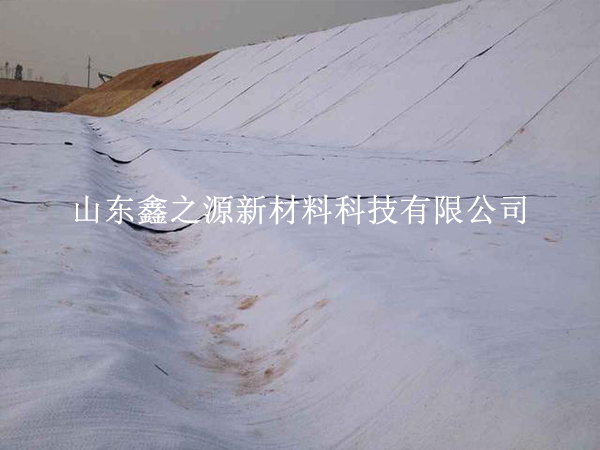 守護(hù)養(yǎng)殖基業(yè)，揭秘防滲膜防老化新策略